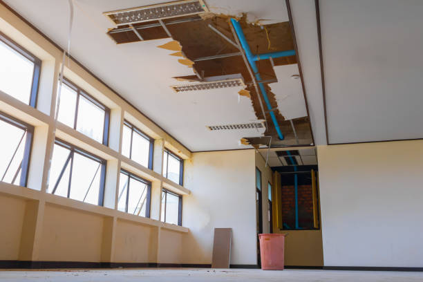 Best Mold removal after water damage  in Sierra Ridge, CO