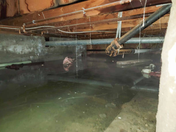 Sierra Ridge, CO Water damage restoration Company