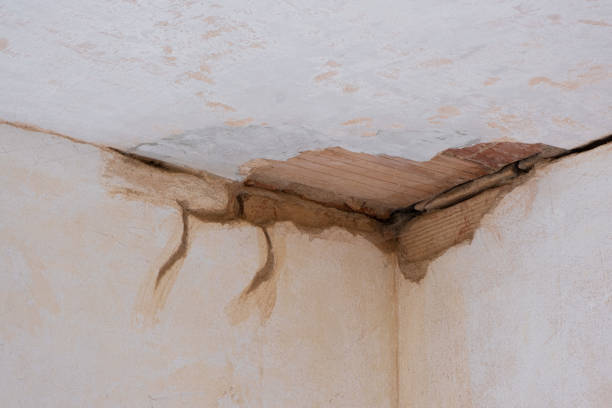 Best Commercial water damage restoration  in Sierra Ridge, CO