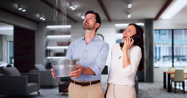 Best Flood restoration services  in Sierra Ridge, CO